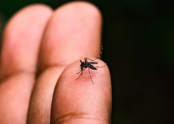 48 NOVOS LEITOS DE UTI PARA A DENGUE
