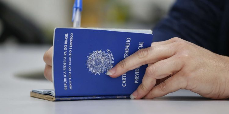 SC é o estado com maior participação da indústria no mercado de trabalho