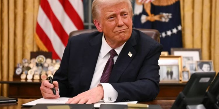 Tarifaço de Trump motiva suspensão da produção no setor madeireiro em SC