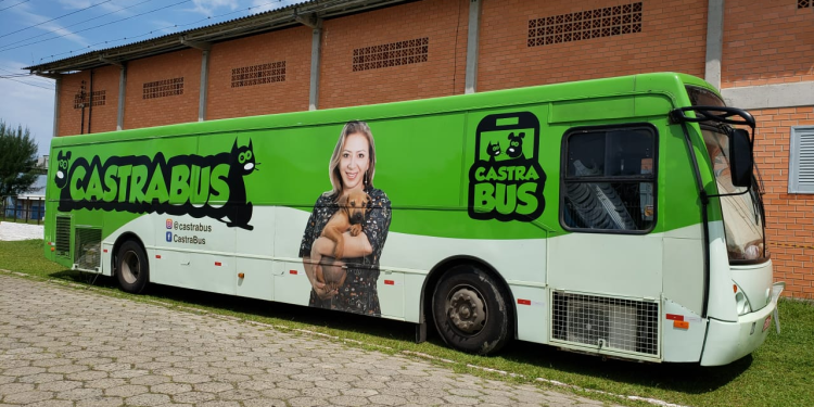 CastraBus inicia castrações gratuitas de cães e gatos em Balneário Camboriú
