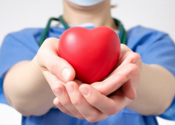 SC tem a maior taxa de doadores de órgãos e tecidos por milhão de habitantes do Brasil