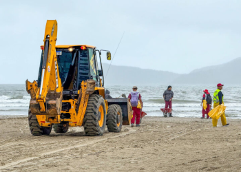 Balneário Camboriú realiza peneiramento da areia da praia após macrodrenagem
