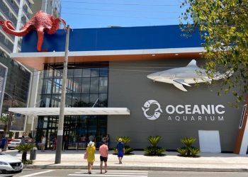 Passaporte da diversão por um preço especial de Black Friday