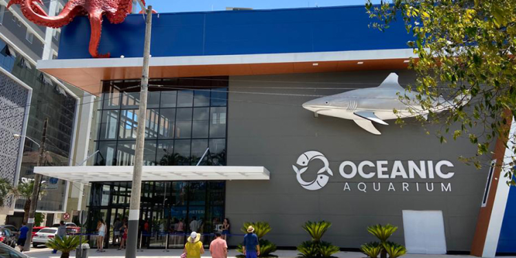 Passaporte da diversão por um preço especial de Black Friday