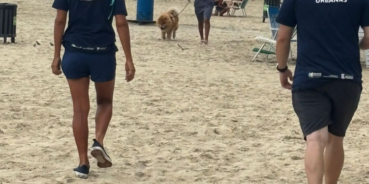 Fiscalização reforçada no verão mobiliza 82 agentes e enfrenta desafios nas praias de Balneário Camboriú
