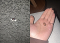 “Mais de 20 tiros”: Disparos atingem residências em condomínio de Camboriú durante festa infantil